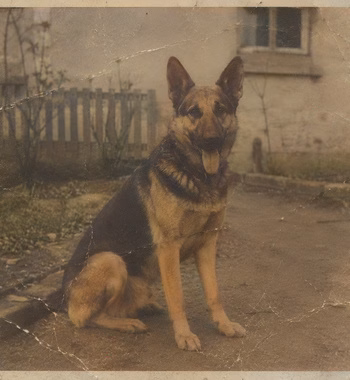 Eski siyah beyaz fotoğraf — AI ile renklendirildi