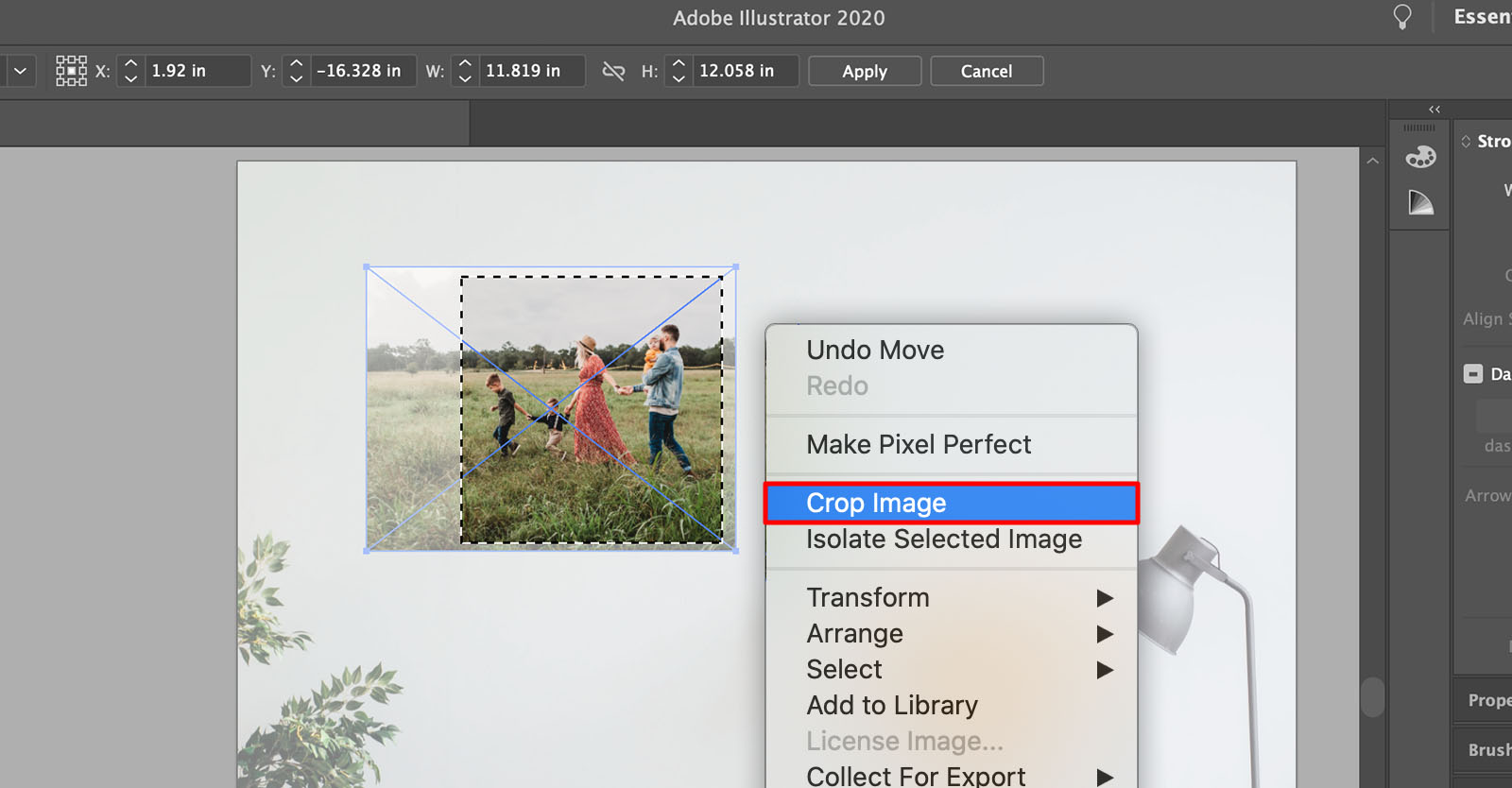 how-to-crop-an-image-in-adobe-illustrator-imagy