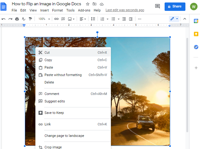 google-docs-find-replace-cut-copy-paste-options-google-docs