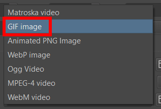 Video to animated PNG converter