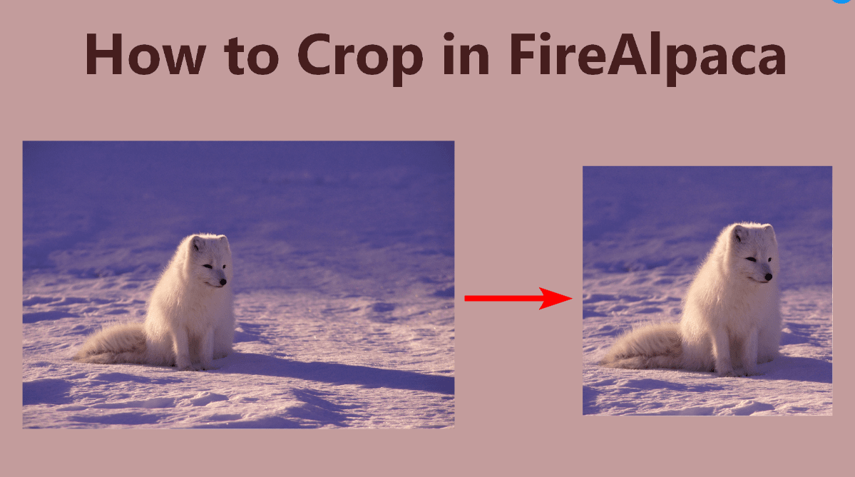 firealpaca crop magic