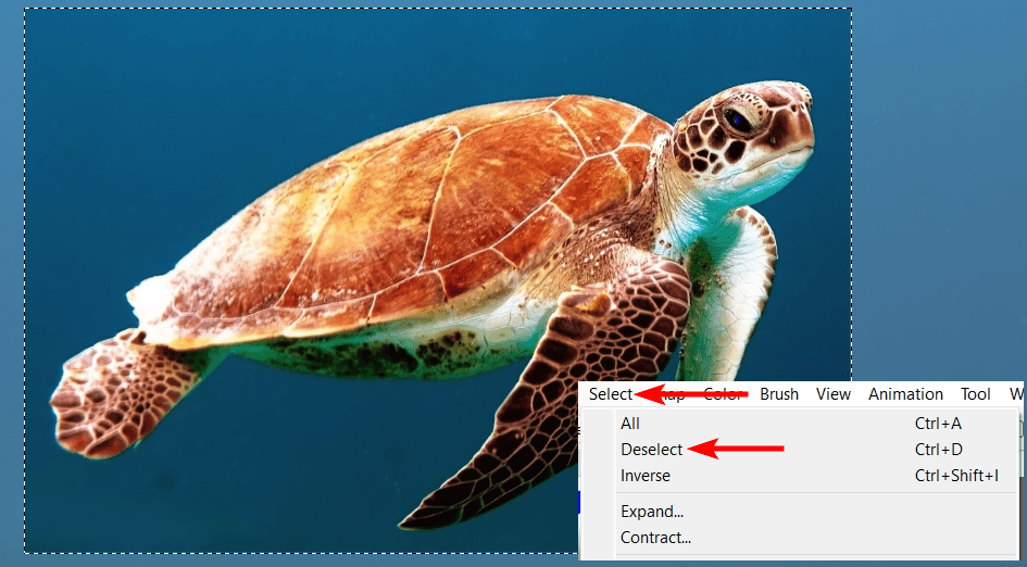 how-to-quickly-deselect-in-firealpaca