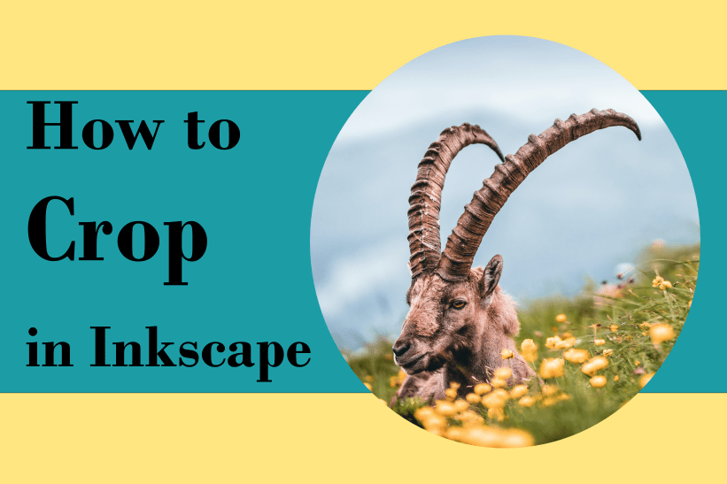 How to Crop in Inkscape: Step by Step