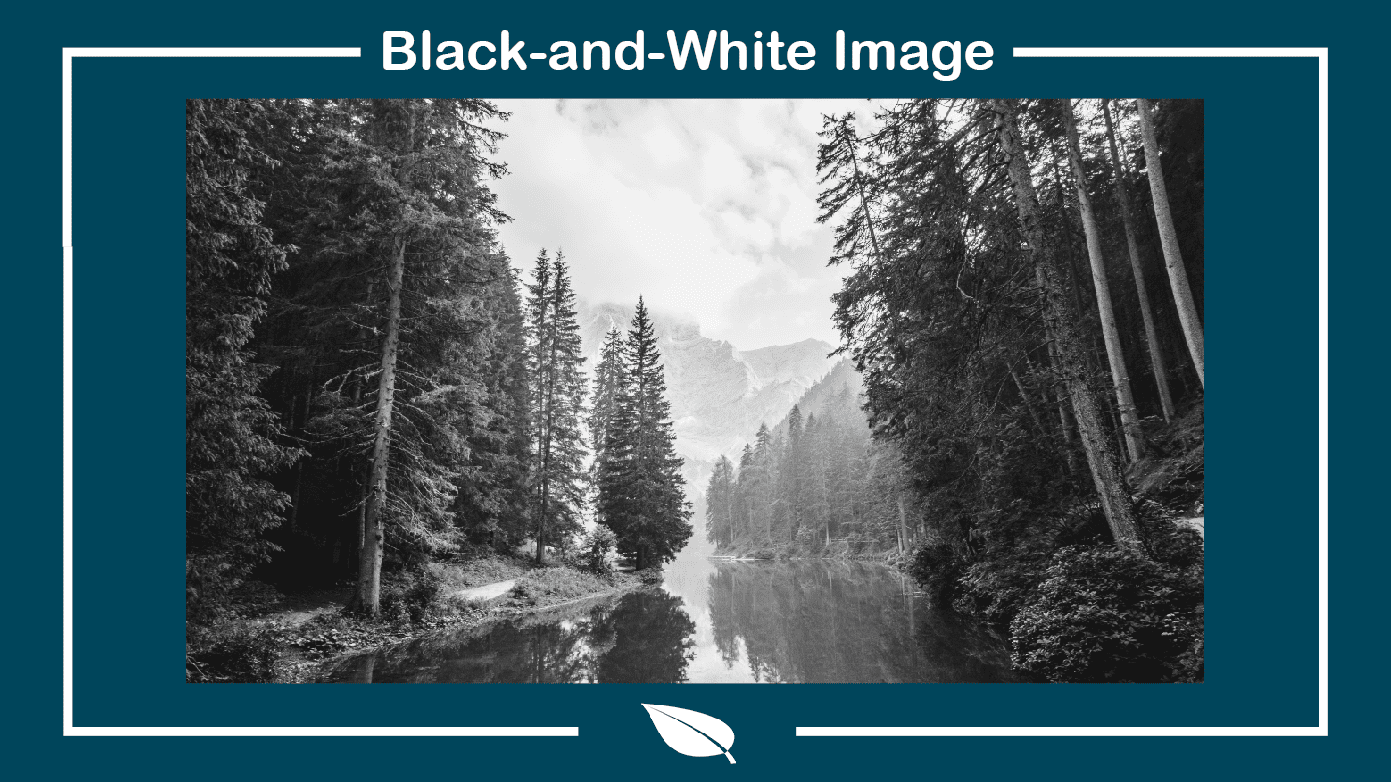 How To Make An Image Black And White In Adobe InDesign