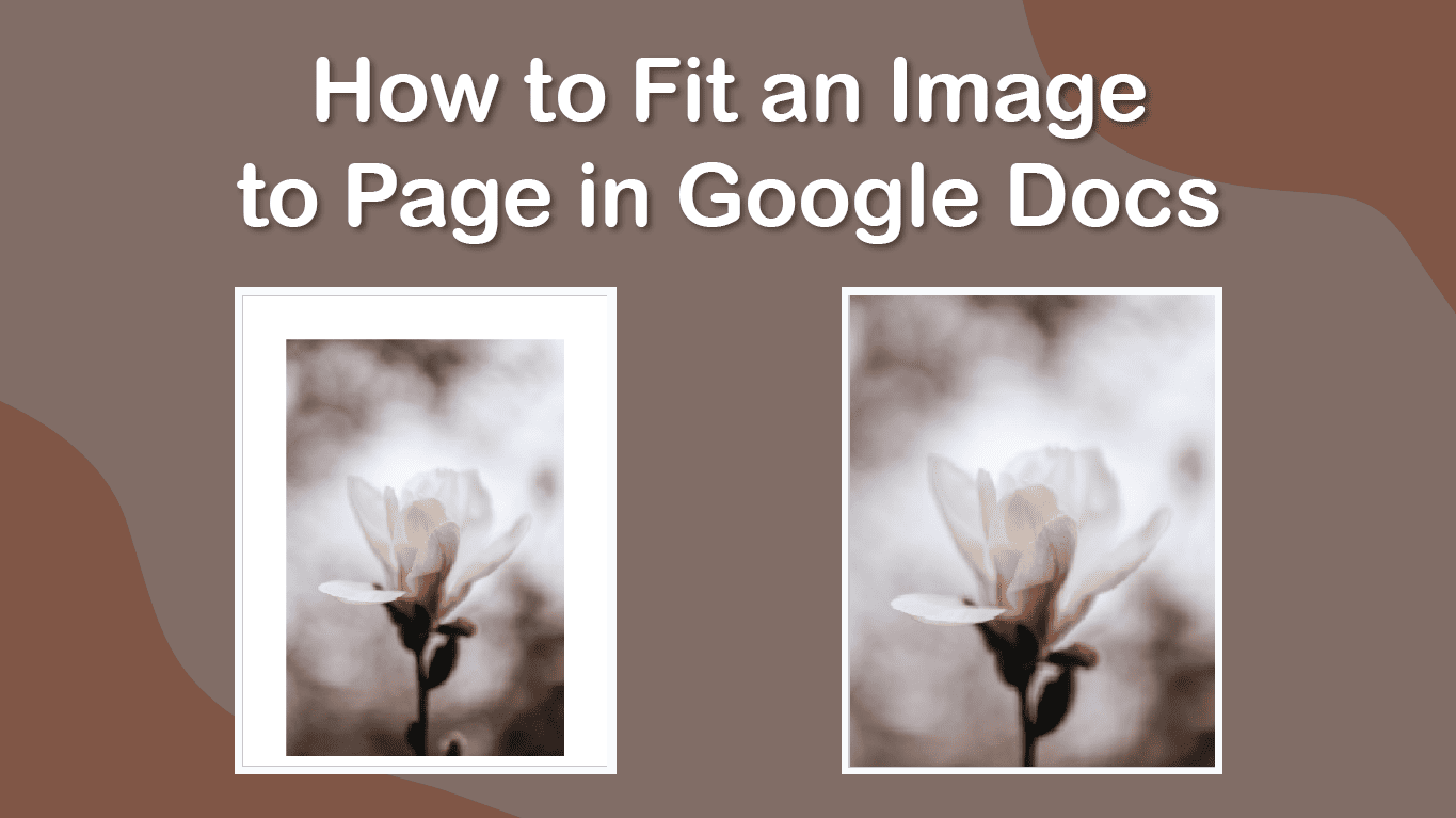 how-to-fit-an-image-to-page-in-google-docs-imagy