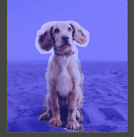 gimp remove background using selection tool