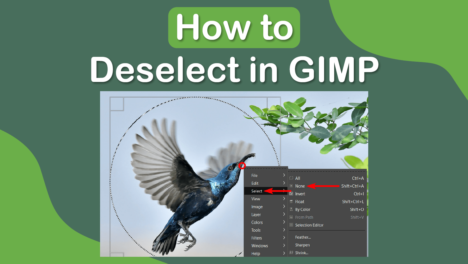 How to Undo in GIMP (Keyboard Shortcut + Insider Tips)